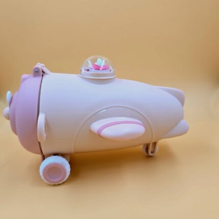 Water Bottle China Imported-Airplane Shaped (Color Purple)